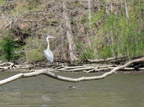 IMG 4557